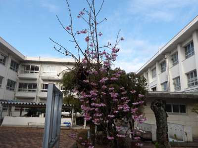 IMGP0378