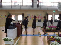 IMGP0387