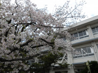 IMGP0484