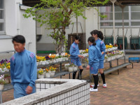 IMGP0472