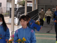 IMGP0473