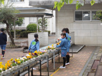 IMGP0477