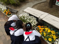 IMGP0560