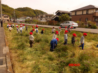 IMGP0175