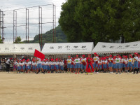 IMGP0675