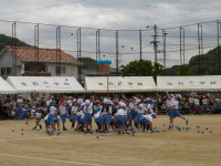 IMGP0685