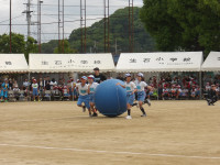 IMGP0700