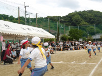 IMGP0704