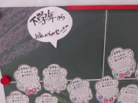 IMGP0980
