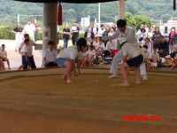 IMGP0307