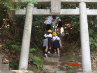 IMGP0406