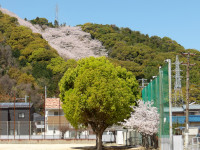 IMGP0496