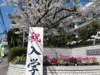 IMGP0517