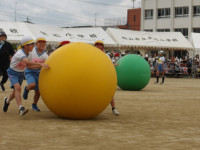 IMGP0693