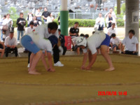 IMGP0322