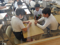IMGP1102